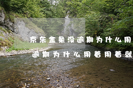 京东金条没逾期为什么用不了 京东金条从未逾期为什么用着用着就借不了了
