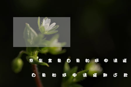 京东金条白条如何申请延期还款-京东金条白条如何申请延期还款呢