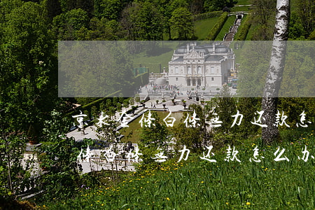 京东金条白条无力还款怎么办两年-京东金条白条无力还款怎么办两年了