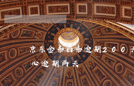京东金条白条逾期200天-京东白条不小心逾期两天