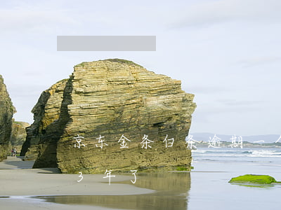 京东金条白条逾期一个月(京东白条金条逾期3年了)