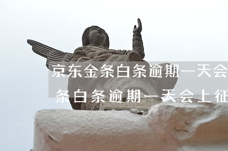 京东金条白条逾期一天会上征信吗-京东金条白条逾期一天会上征信吗知乎