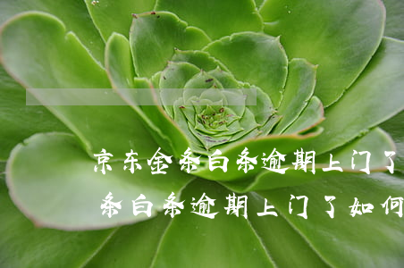 京东金条白条逾期上门了如何应对-京东金条白条逾期上门了如何应对呢