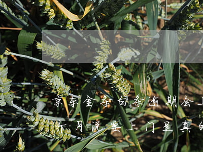 京东金条白条逾期会上门吗(京东金条逾期半个月说要上门是真的吗?)