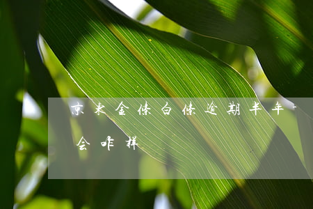 京东金条白条逾期半年-京东白条金条逾期会咋样?