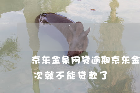 京东金条网贷逾期 京东金条是不是逾期过一次就不能贷款了