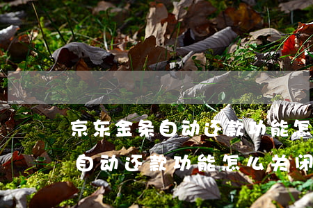京东金条自动还款功能怎么关闭-京东金条自动还款功能怎么关闭啊