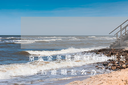 京东金条被降额后逾期怎么办(京东金条被降额后逾期怎么办)