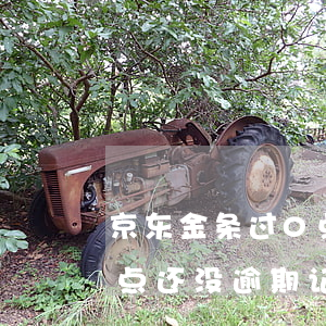 京东金条过0点还没逾期记录(京东金条过0点还没逾期记录)