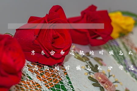 京东金条还款的时候怎么分开还-京东金条还款的时候怎么分开还款