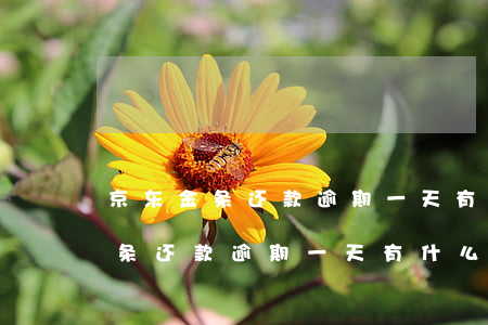 京东金条还款逾期一天有什么影响-京东金条还款逾期一天有什么影响吗