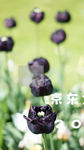 京东金条逾期100天会起诉吗(欠京东金条2000元逾期两月会被起诉吗?)