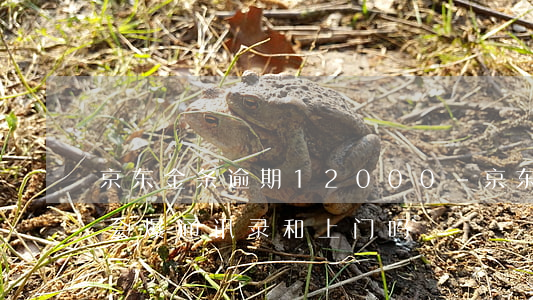京东金条逾期12000-京东金条逾期了会爆通讯录和上门吗