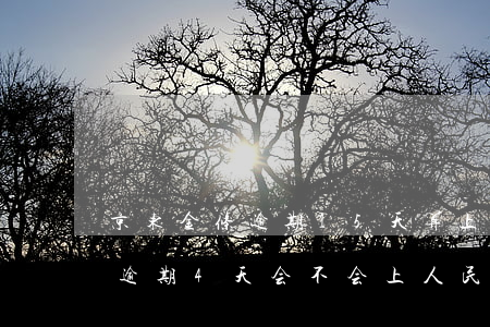 京东金条逾期15天算上几次征信(京东金条逾期4天会不会上人民银行征信)