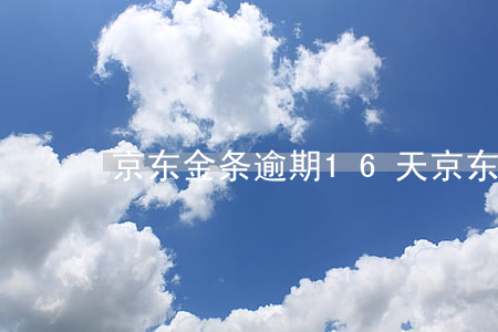 京东金条逾期16天(京东金条逾期16天)