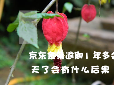 京东金条逾期1年多会怎样(京东金条逾期几天了会有什么后果?)