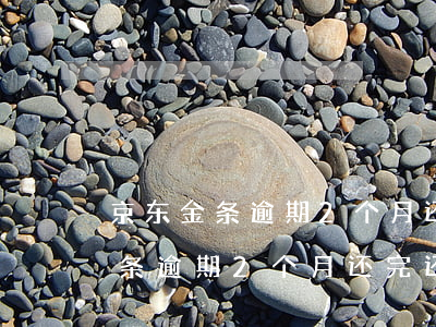 京东金条逾期2个月还完还能借吗-京东金条逾期2个月还完还能借吗