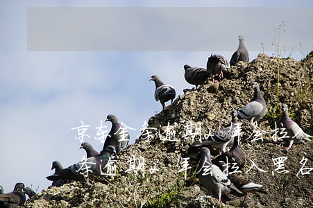 京东金条逾期2年会拉入黑名单吗-京东金条逾期2年会拉入黑名单吗知乎