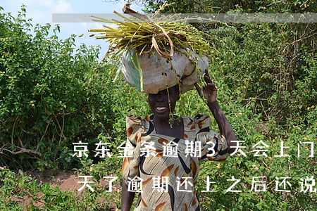 京东金条逾期3天会上门吗(京东金条逾期2天了,逾期还上之后,还说要上门)