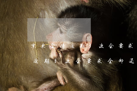 京东金条逾期3次会要求全部还款(京东金条逾期3次会要求全部还款)