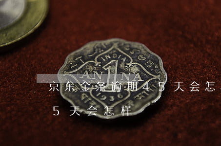 京东金条逾期45天会怎样(京东金条逾期45天会怎样)