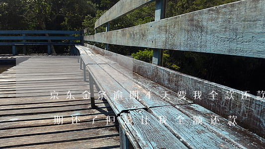 京东金条逾期4天要我全款还款 京东金条逾期还了但是让我全额还款?