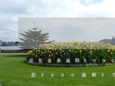 京东金条逾期5000说要上门(京东金条欠款2000逾期2个月会上门吗)