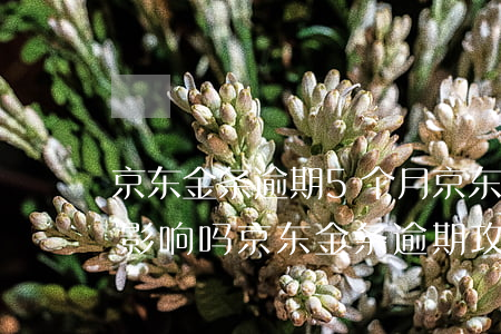 京东金条逾期5个月(京东金条逾期5天会有影响吗?京东金条逾期攻略!)