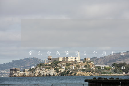 京东金条逾期5个月怎么协商(京东金条逾期两年了为什么不能协商还款)