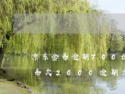 京东金条逾期700说要外访上门-京东金条欠2000逾期九十多天说要外访