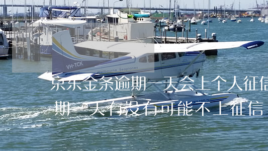 京东金条逾期一天会上个人征信(京东金条逾期一天有没有可能不上征信)
