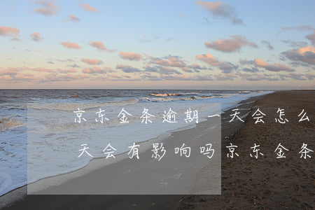 京东金条逾期一天会怎么办(京东金条逾期1天会有影响吗?京东金条逾期攻略!)