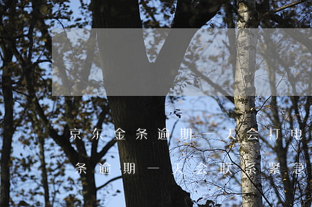 京东金条逾期一天会打电话催你吗-京东金条逾期一天会联系紧急联系人吗
