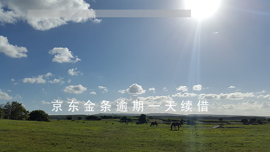 京东金条逾期一天续借