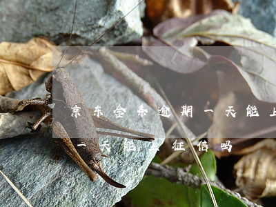 京东金条逾期一天能上征信吗(京东金条逾期一天能上征信吗)