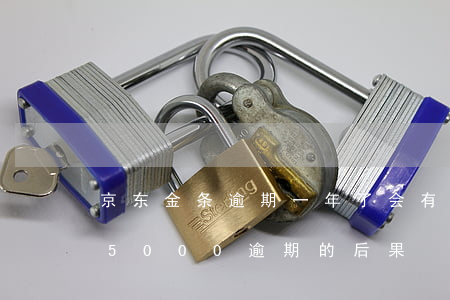 京东金条逾期一年了会有什么后果?（京东金条5000逾期的后果）