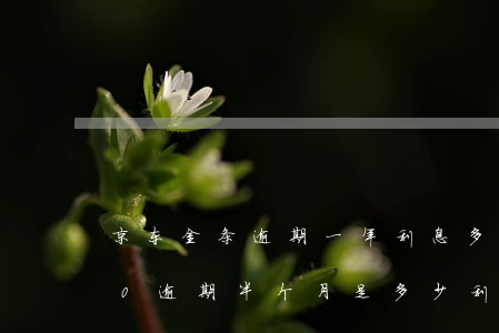 京东金条逾期一年利息多少(京东金条1000逾期半个月是多少利息)