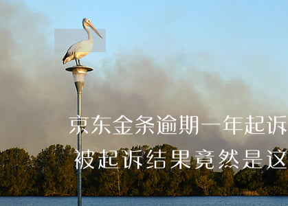 京东金条逾期一年起诉(京东金条逾期多久会被起诉?结果竟然是这样的!)