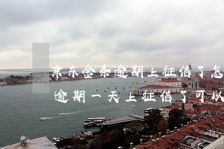京东金条逾期上征信了怎么撤销-京东金条逾期一天上征信了可以申诉吗