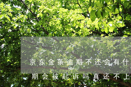 京东金条逾期不还会有什么后果(京东金条逾期会被起诉吗?真还不上怎么办)