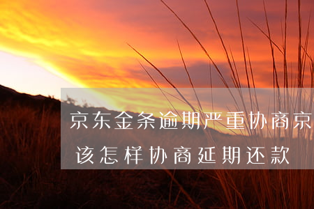 京东金条逾期严重协商(京东金条要逾期了应该怎样协商延期还款)