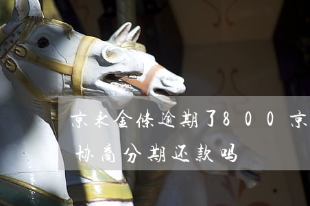 京东金条逾期了800 京东金条逾期了可以协商分期还款吗?