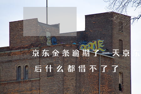 京东金条逾期了一天(京东金条逾期了一天,然后什么都借不了了)