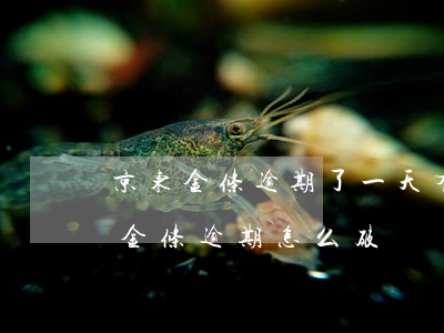 京东金条逾期了一天,有什么办法补救吗（京东金条逾期怎么破）