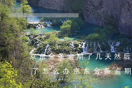 京东金条逾期了几天然后还了,现在借不到钱了怎么办（京东金条逾期了还有什么能借钱）