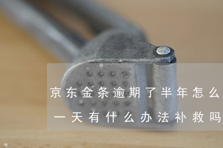 京东金条逾期了半年怎么办(京东金条逾期了一天,有什么办法补救吗)