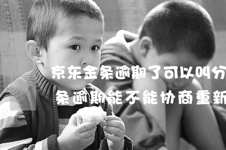 京东金条逾期了可以叫分24期吗-京东金条逾期能不能协商重新分期还款