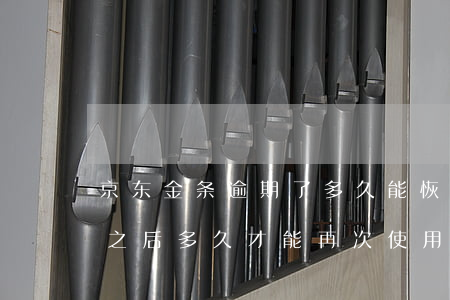 京东金条逾期了多久能恢复(京东金条有逾期之后多久才能再次使用)