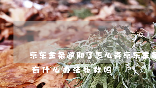 京东金条逾期了怎么弄(京东金条逾期了一天,有什么办法补救吗)