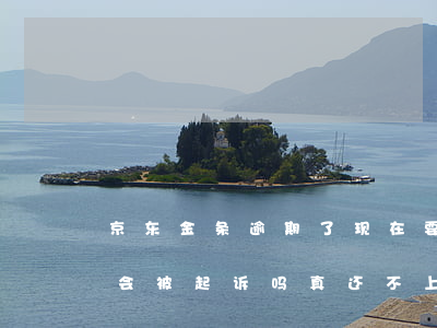 京东金条逾期了现在要起诉我(京东金条逾期会被起诉吗?真还不上怎么办)